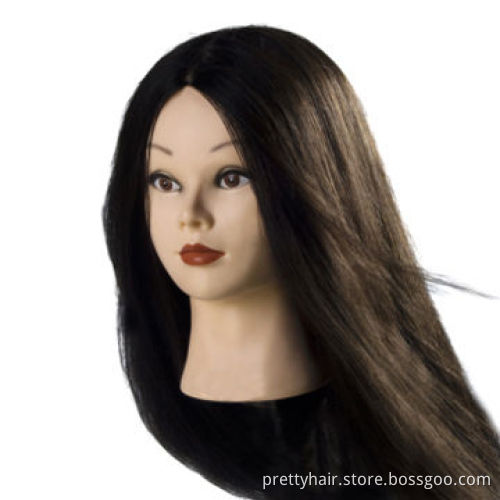 Training mannequin heads, used in beauty school and beauty university for training and examination